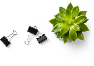 Flat 25% Off Medicine Order